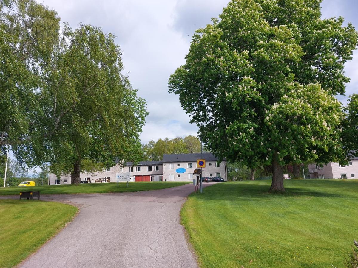 Hammaroe Vandrarhem Экстерьер фото